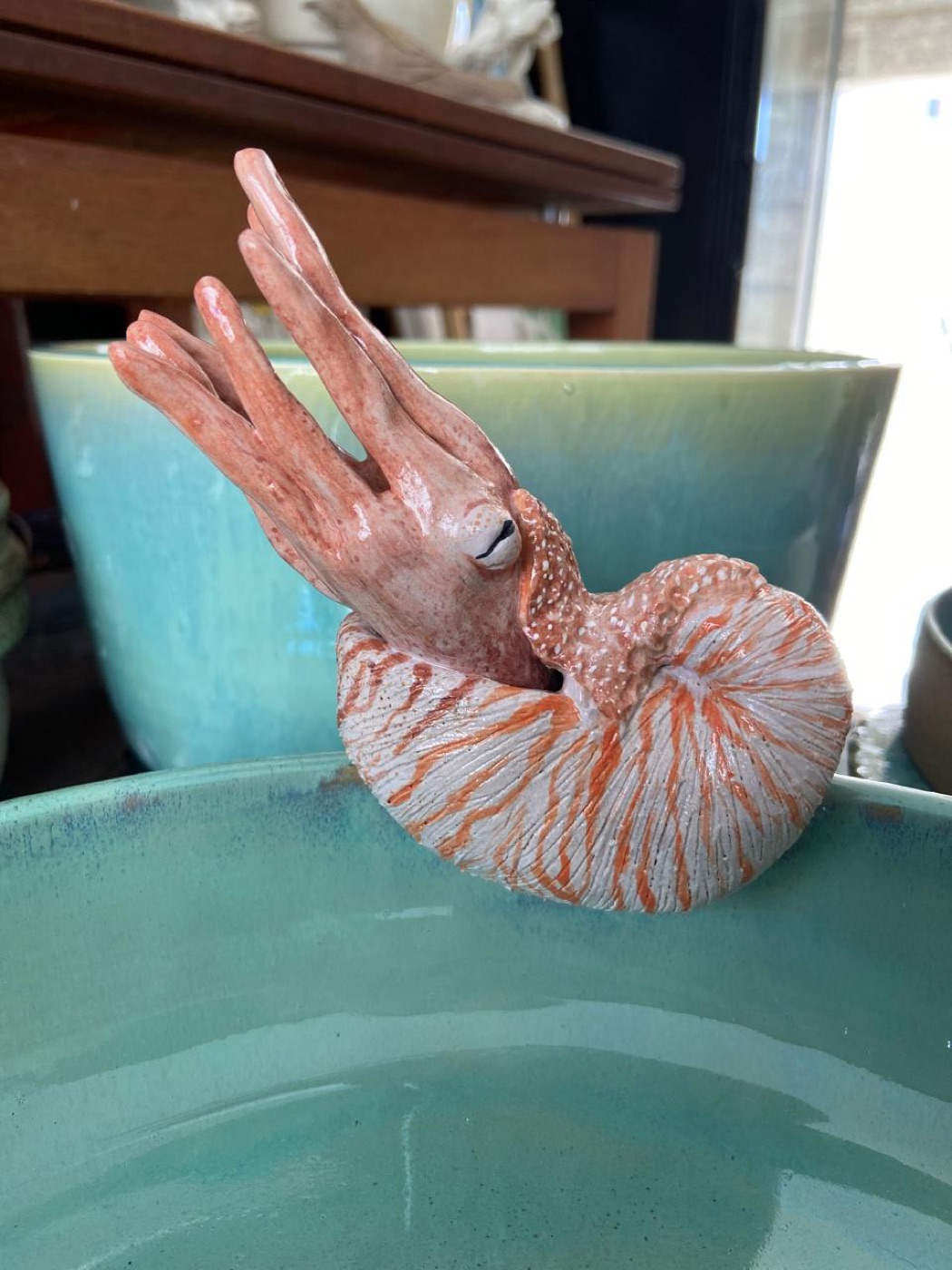 Detalhe do náutilo, com estrias pintadas em laranja